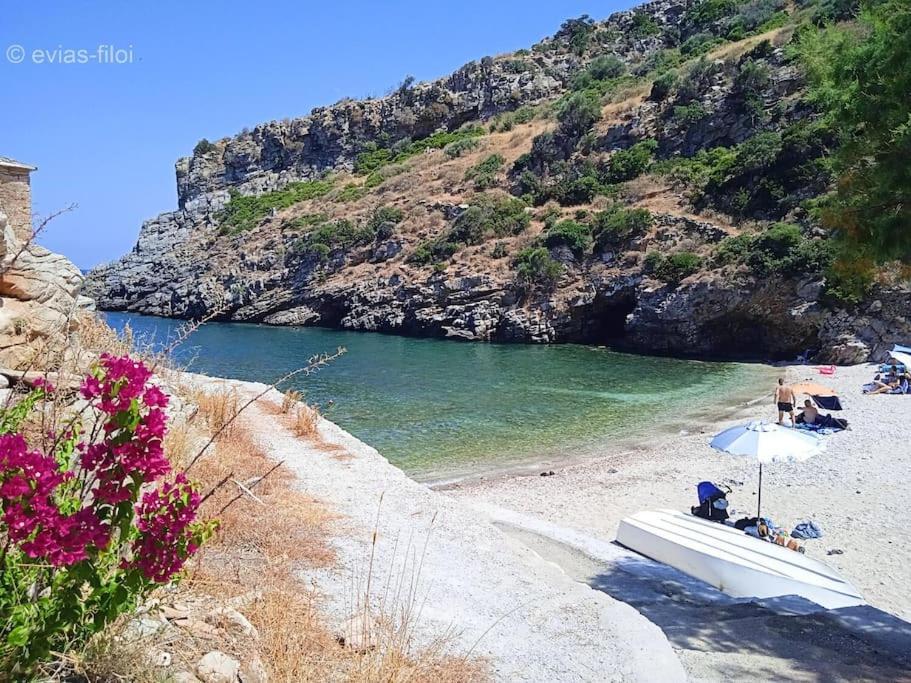 Παραθαλασσιο Σπιτι Στην Εξοχη Villa Tsakei Exterior photo